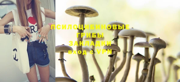 бутират Алзамай