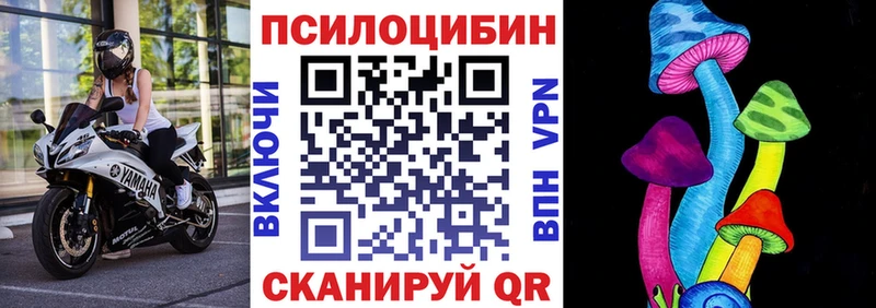 Галлюциногенные грибы GOLDEN TEACHER  Новосиль 
