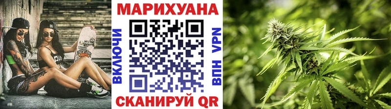 купить  сайты  Новосиль  Каннабис планчик 